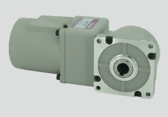 (R系列)感應(yīng)電機40W微型減速電機