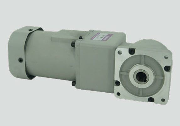 (R系列)感應(yīng)電機60W微型減速電機